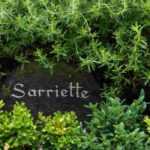 Garden: choosing the right labels