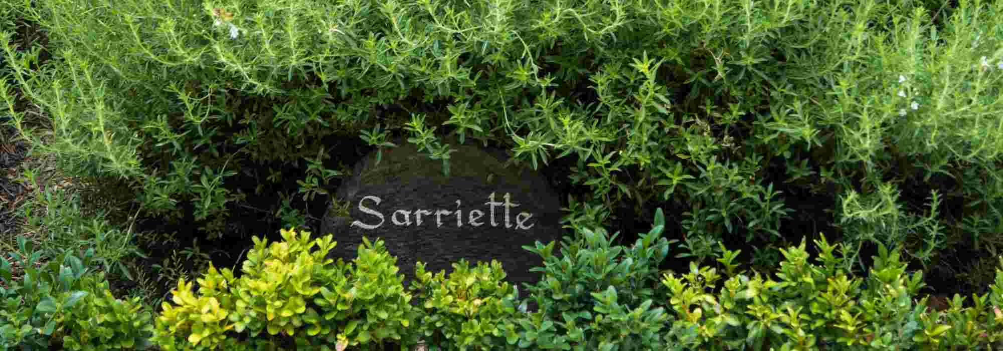 Garden: choosing the right labels