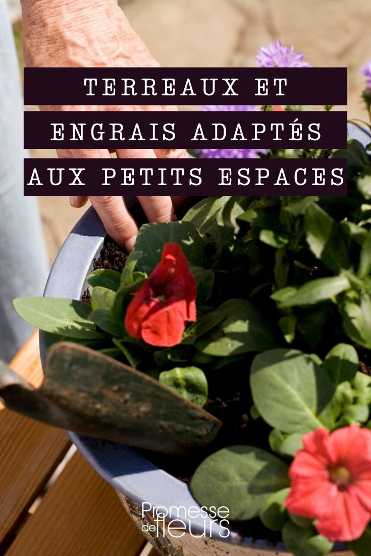 Soil and Fertilisers for Small Spaces, Balconies, and Terraces: The Latest Innovations