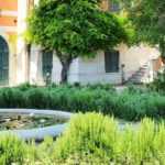 7 tips for creating a successful Mediterranean garden