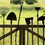 8 essential tools for the vegetable garden