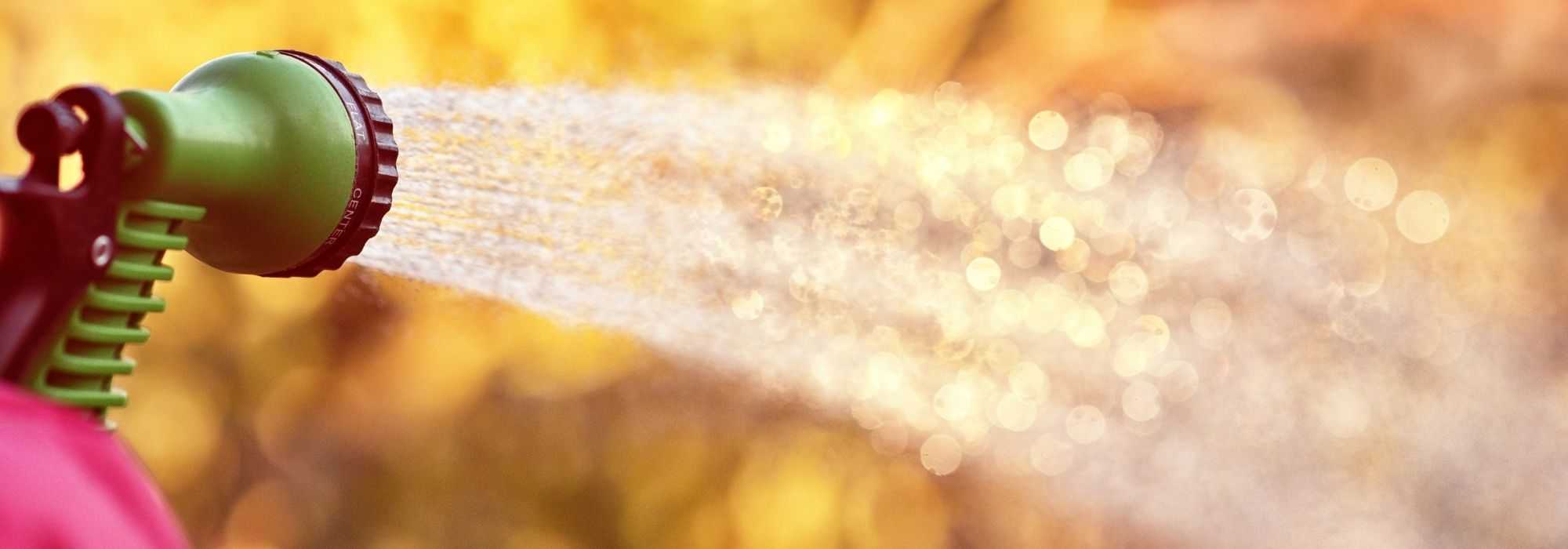 How to save water in the garden?