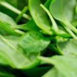 Leaf vegetable: 8 essential varieties