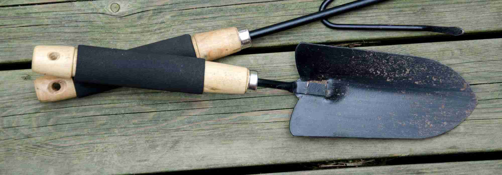 Dibber or transplanting trowel: which tool to choose depending on use?
