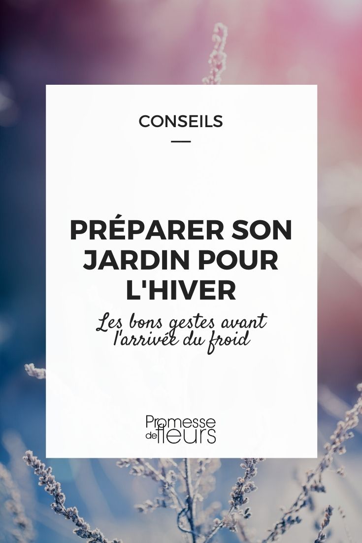 Preparing the Garden for the Arrival of Winter