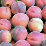Peach tree, nectarine tree: the best varieties