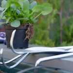 Essential equipment for gardening on your balcony