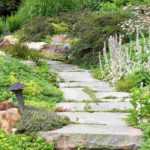 Which plants to border a path?
