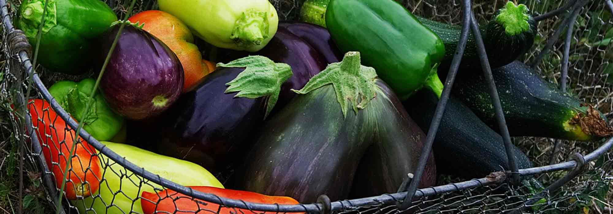 Fruit vegetables: 7 essential varieties