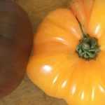 The best heirloom tomatoes