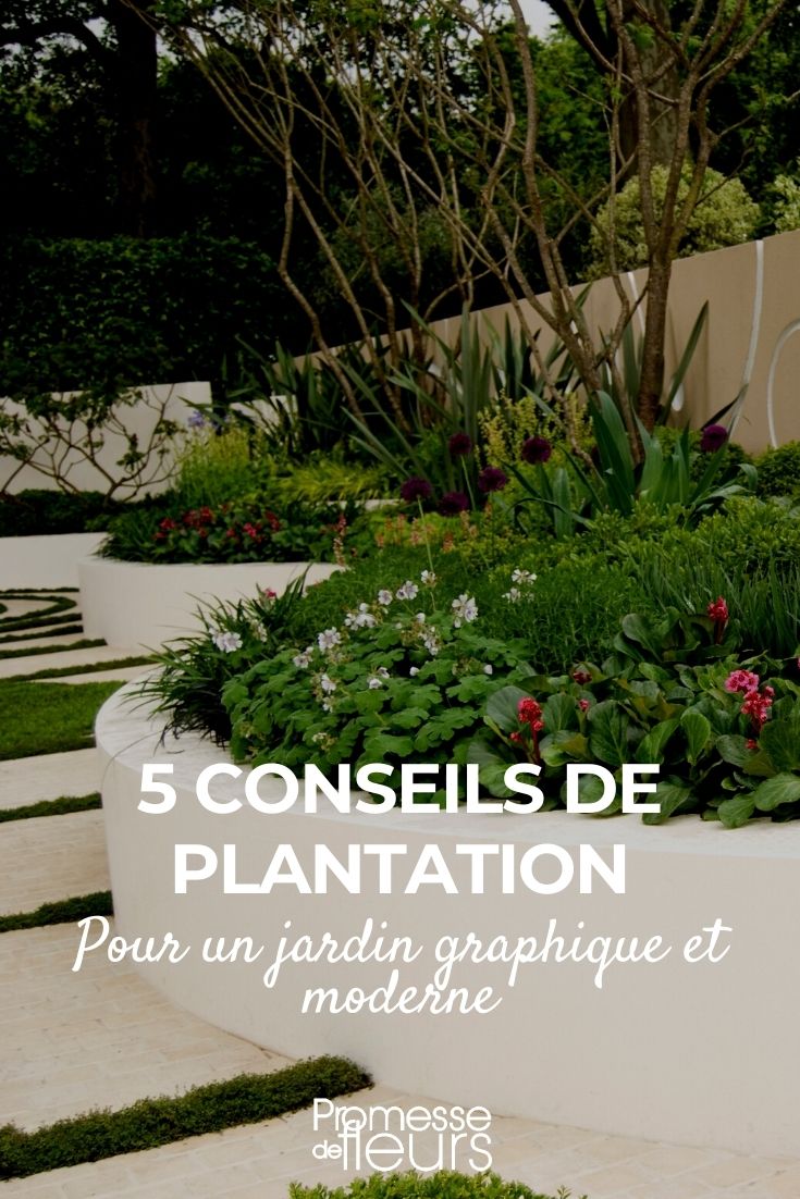 5 Planting Tips for a Modern and Graphic Garden