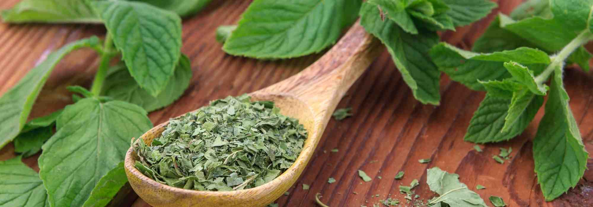 How to keep mint fresh?