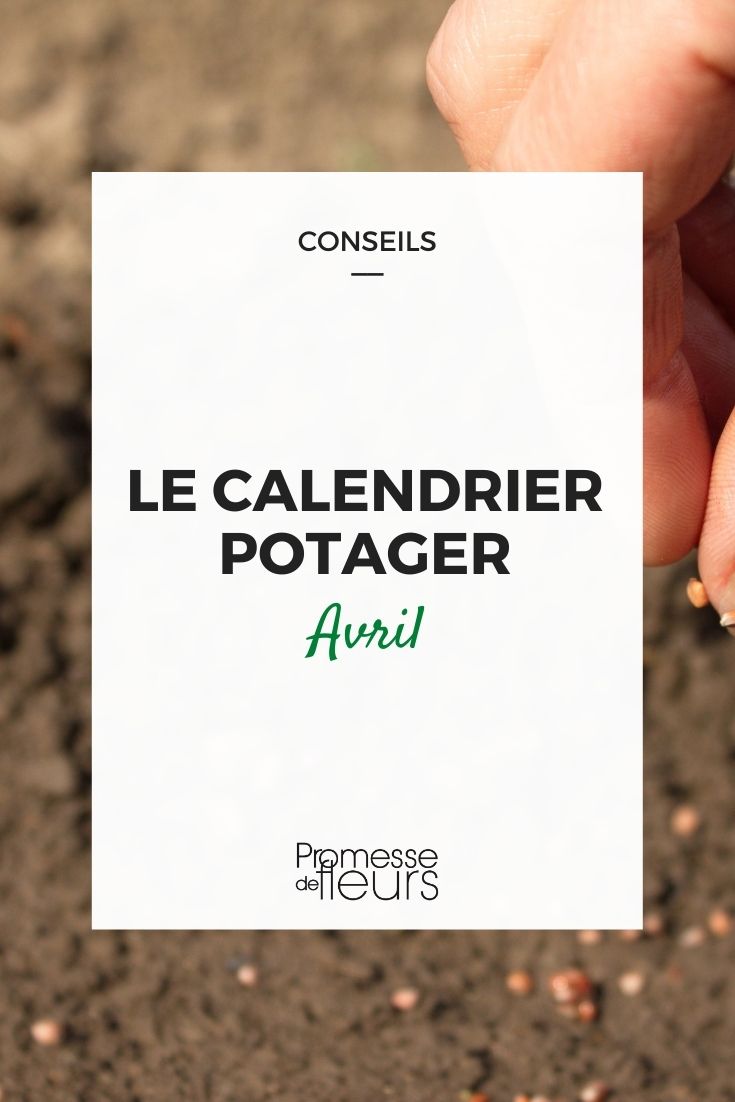 Vegetable Garden Calendar for April