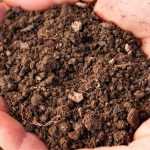 How can I make my soil more free-draining?