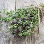 How to dry and properly store thyme?