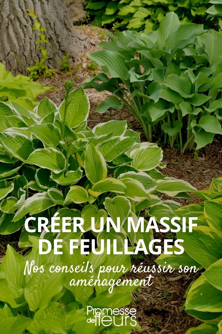 Decorative Foliage Border