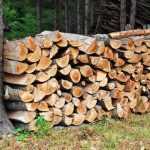 How to protect your wood pile? Our tips for proper drying