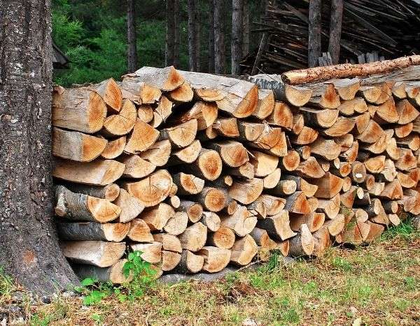 How to protect your wood pile? Our tips for proper drying