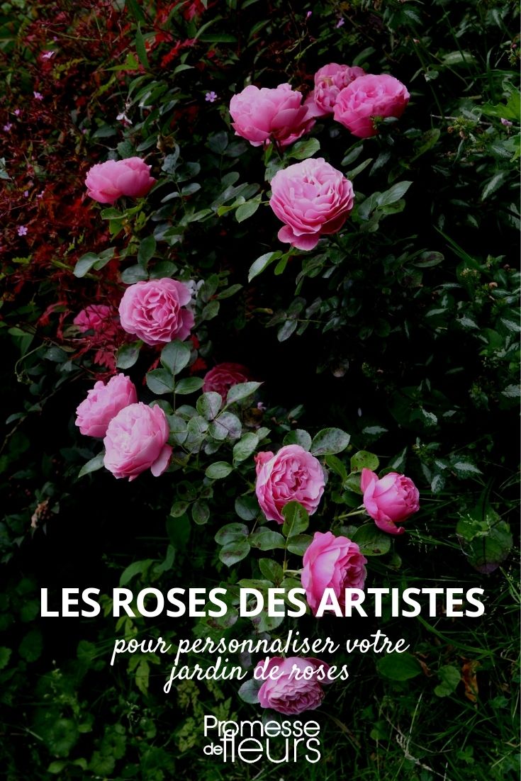 Roses Named After Painters