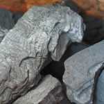 Using charcoal in the garden