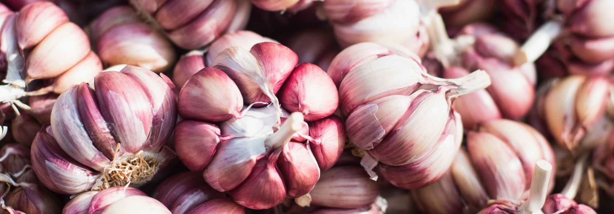 Choosing garlic: buyer's guide