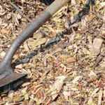 What is a shovel used for?