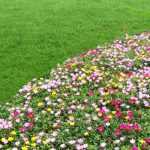 What is an edging tool used for?