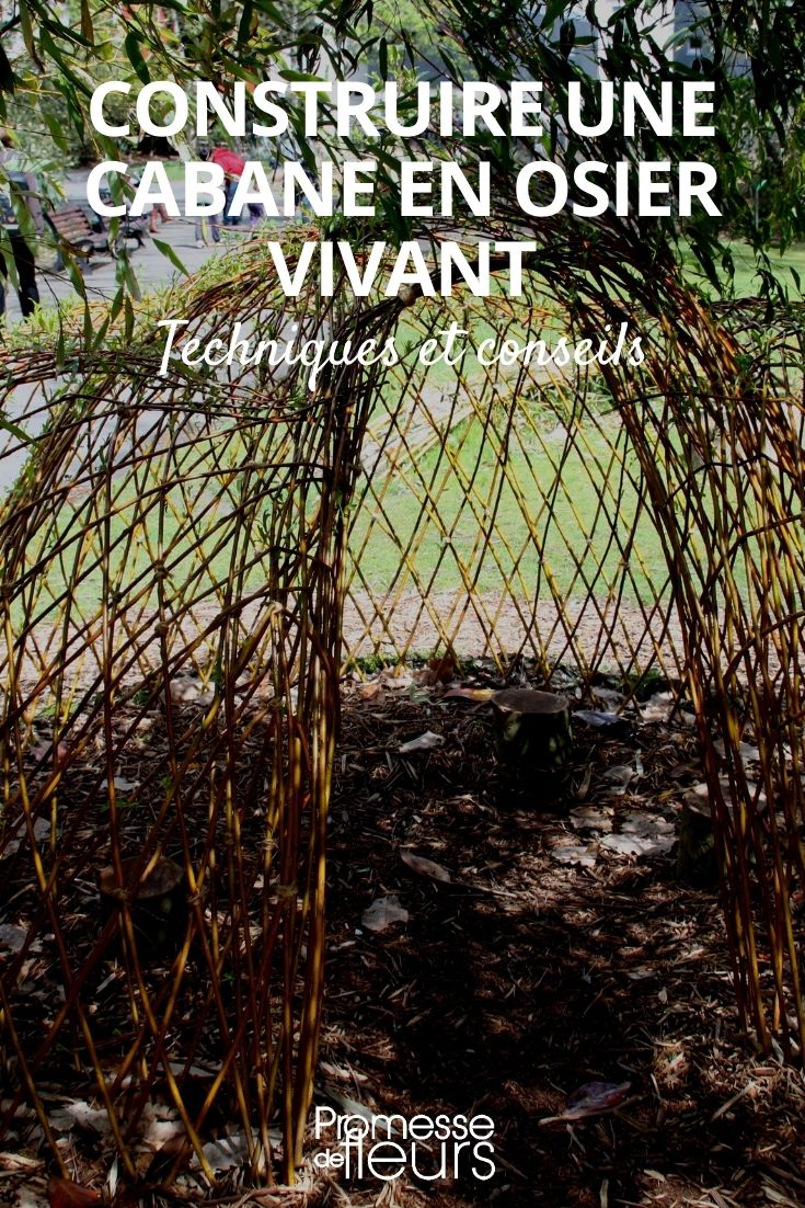 Building a Living Willow Hut