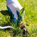 What is a weeding knife used for?