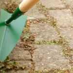 What is a hand weeder used for?