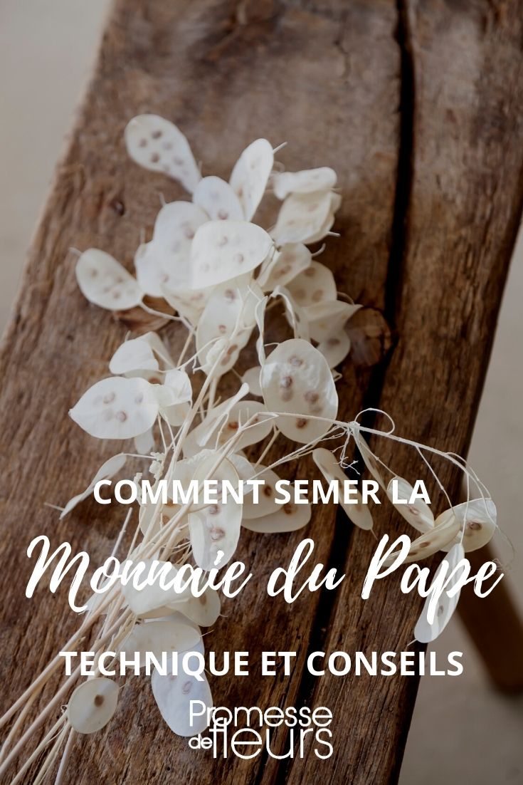 Succeeding in Sowing Honesty