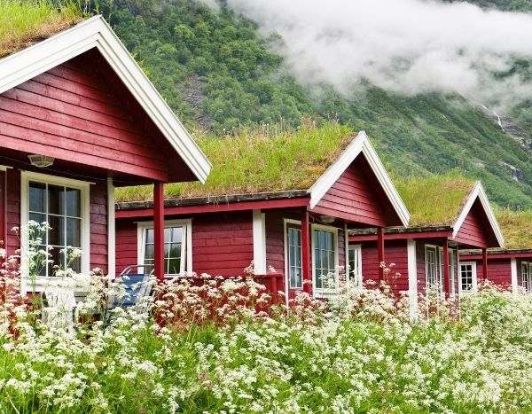 How to create a green roof?