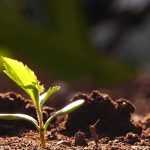 What is stratification?