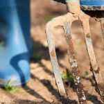 How to spade a garden soil that is too hard?