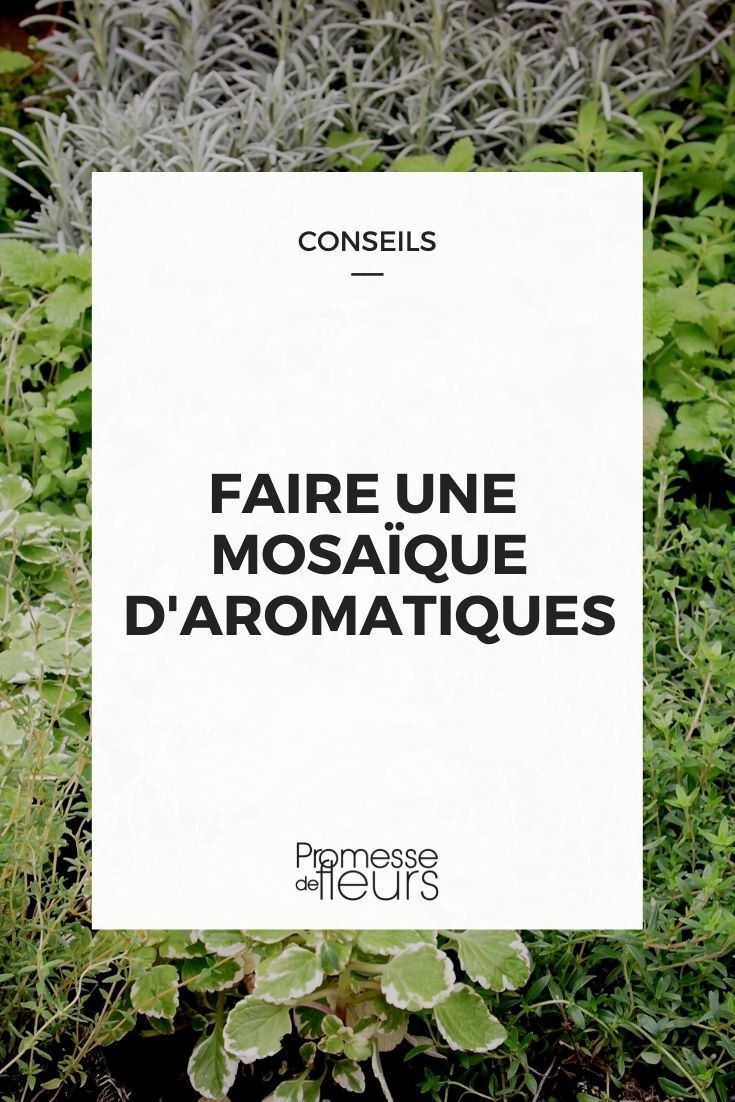 aromatic checkerboard