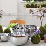 How to make a kokedama?