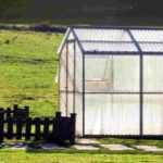 How to choose a greenhouse?