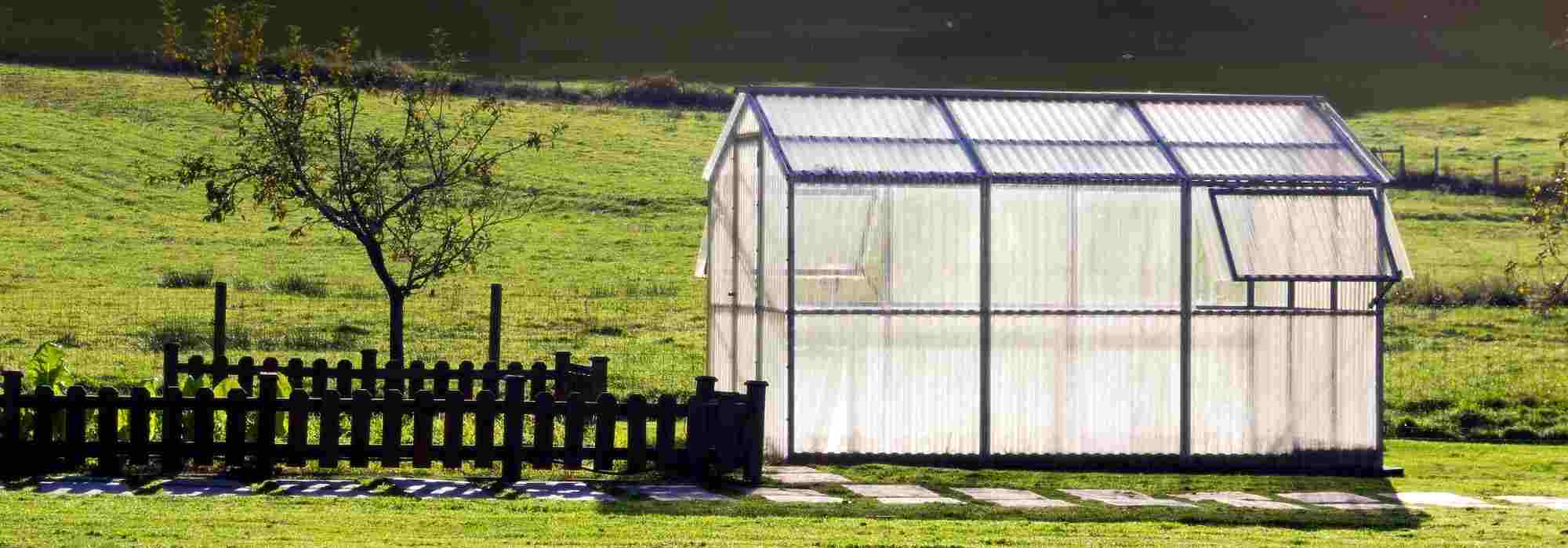 How to choose a greenhouse?
