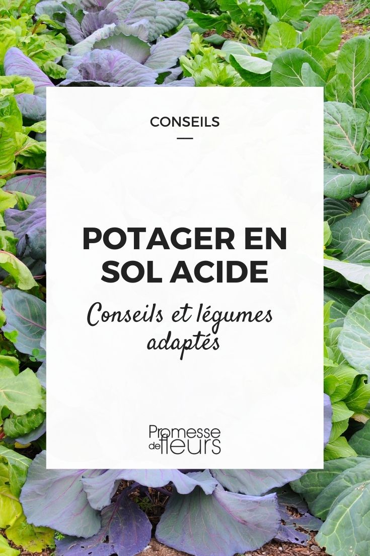 acidic soil vegetable garden
