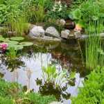 Mistakes to avoid when installing a garden pond