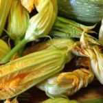 Courgette flower fritters : harvest to recipe