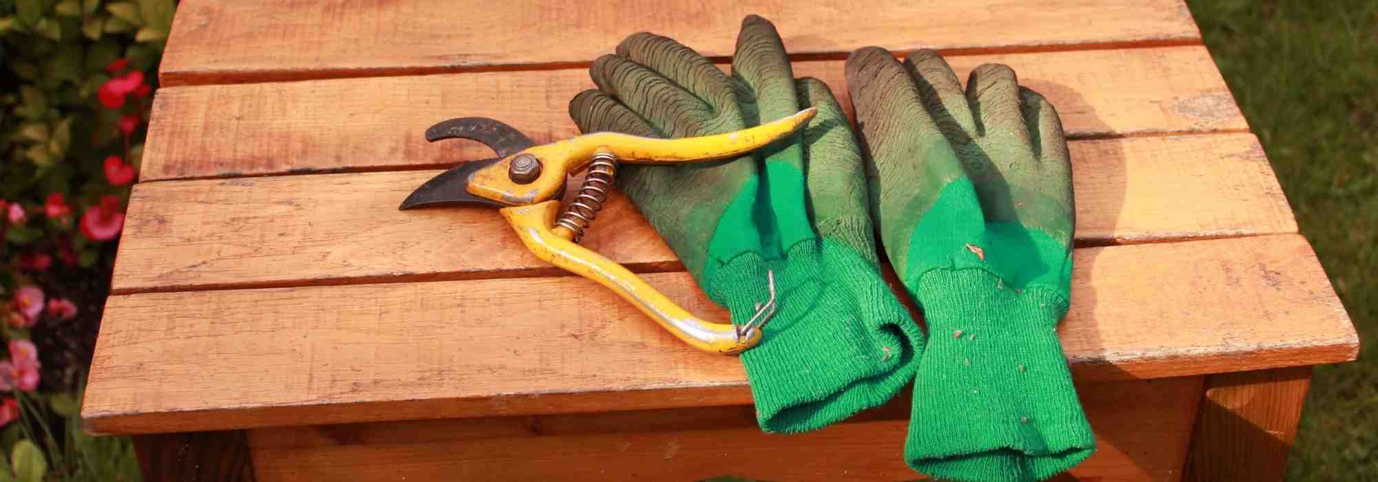 How to choose your gardening gloves?