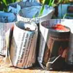 Paper potter: making your own pots for sowing