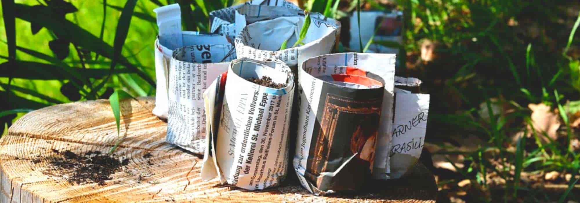 Paper potter: making your own pots for sowing