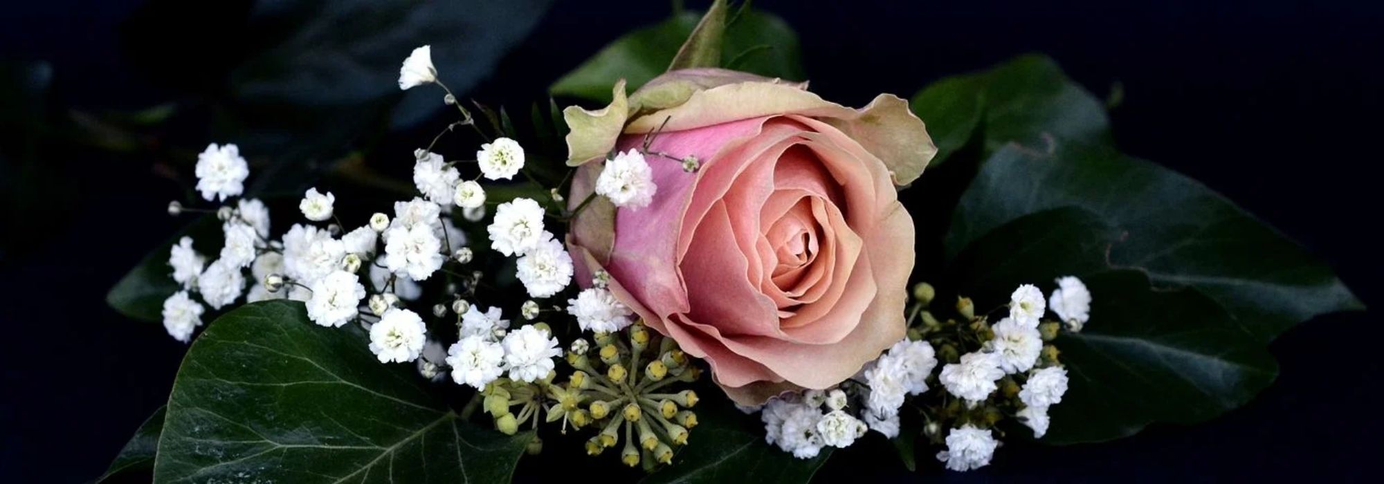 Plants and perfumery