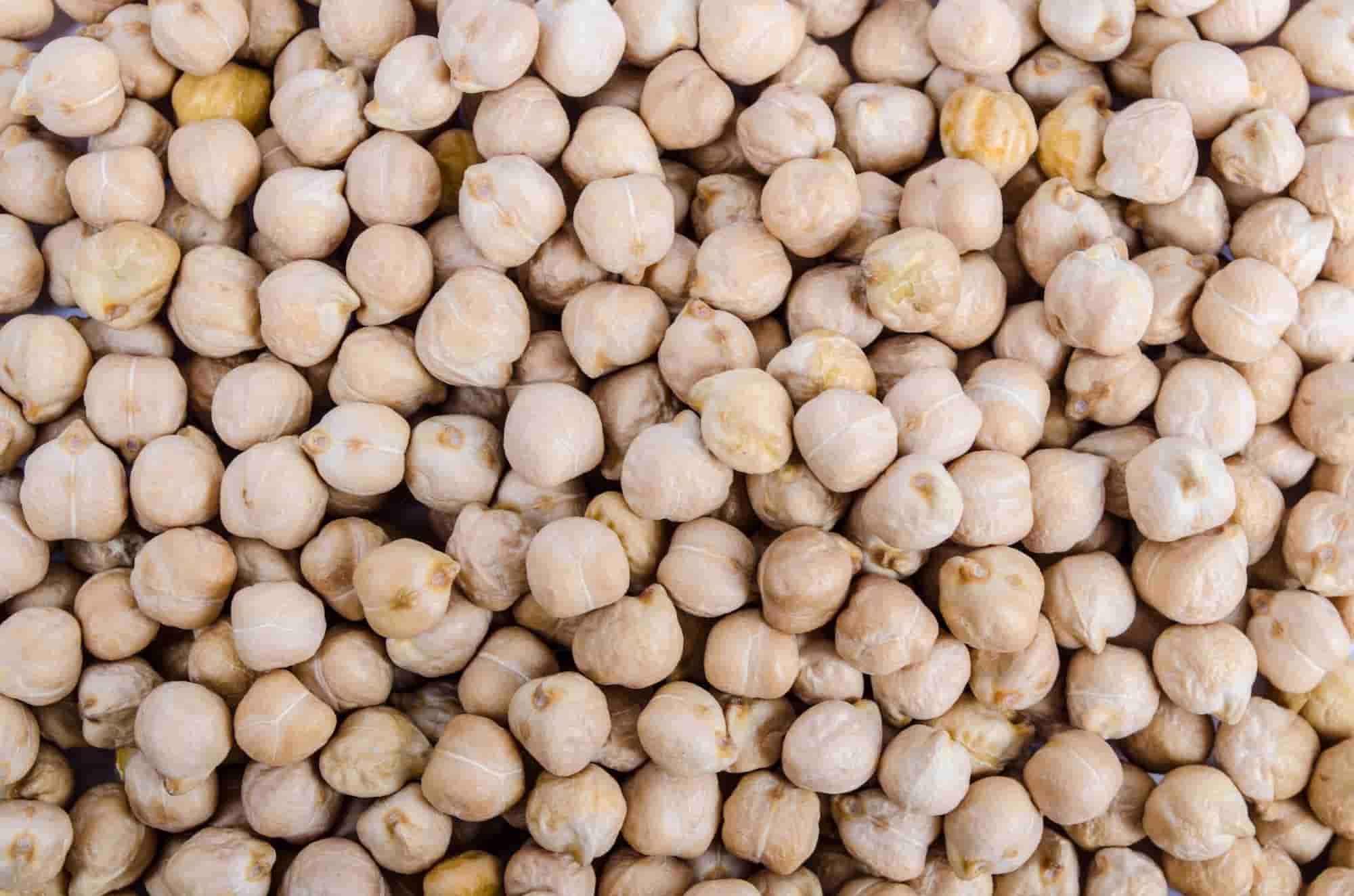 And what if you grew chickpeas?