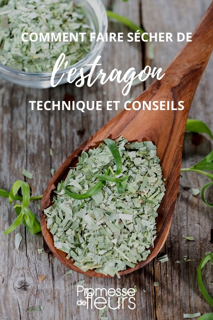 Tutorial: Drying Tarragon