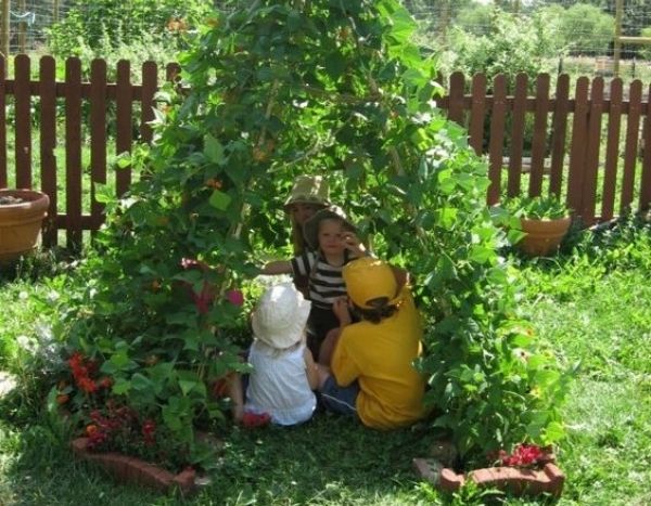Bean teepee: an easy gardening activity for children