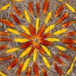 Land Art, what is it?