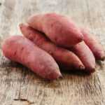 Planting sweet potato slips